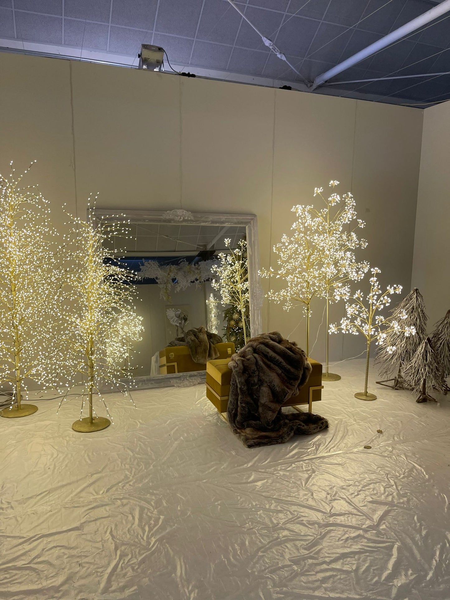 Faggio Gold a ciuffi con LED H120