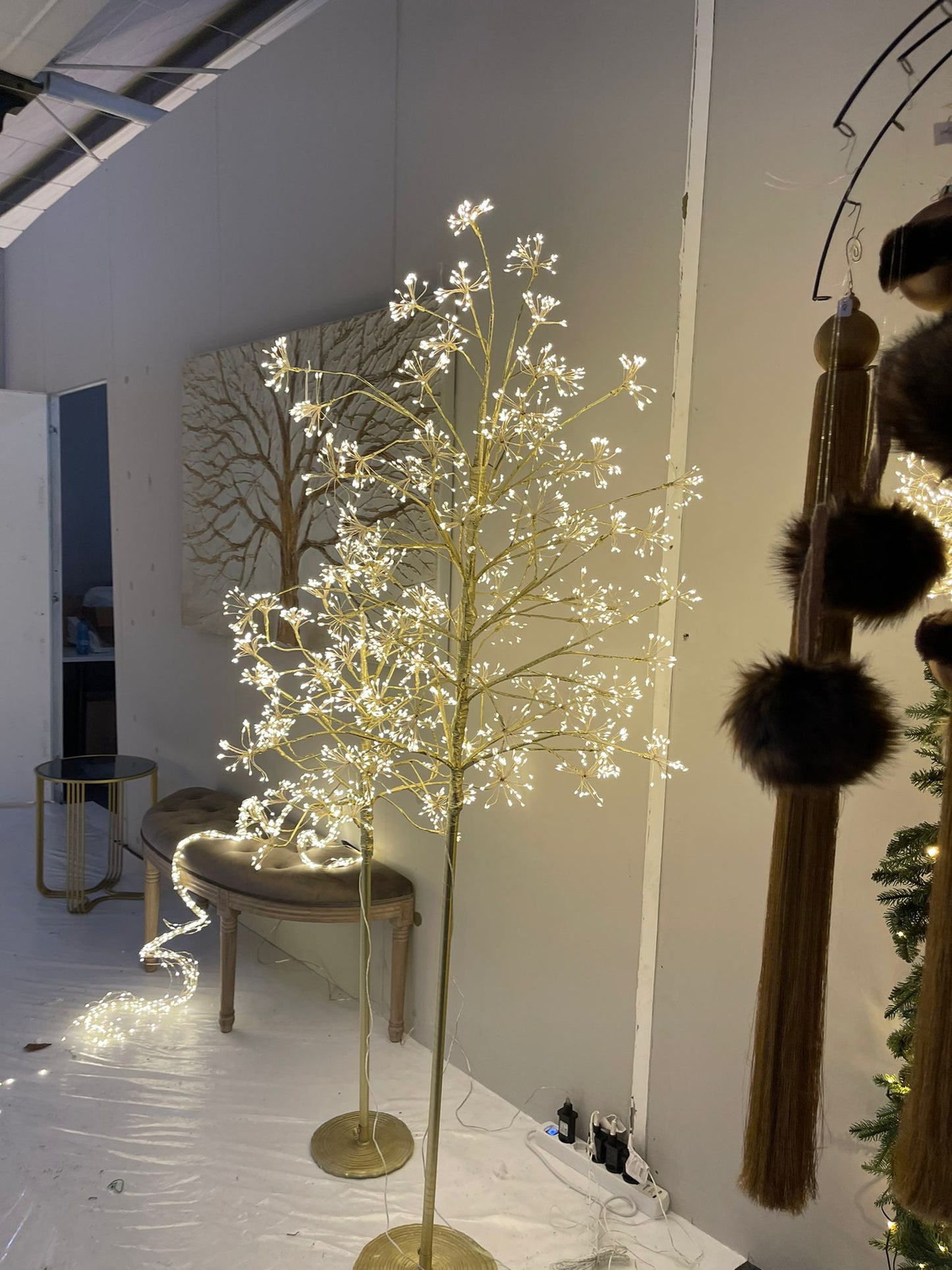Faggio Gold a ciuffi con LED H120